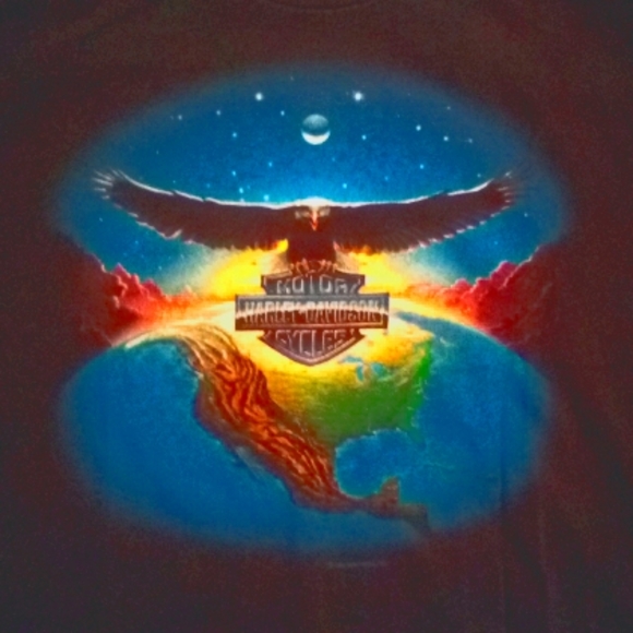 Vintage 1994 Harley Davidson Eagle Globe Lakeland, Fl Size XL - Picture 3 of 5